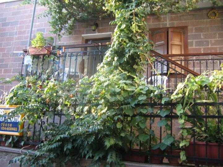 Μαχη Ενοικιαζόμενα Δωμάτια Mithimna Exterior foto